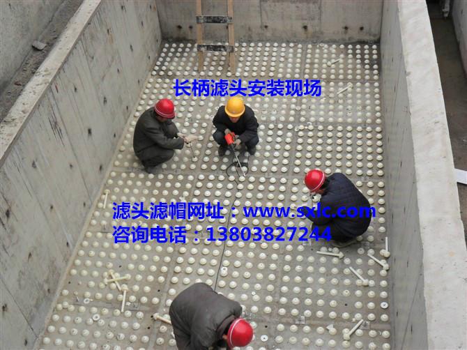 �V�^�V��F(xi��n)�����bʩ���D